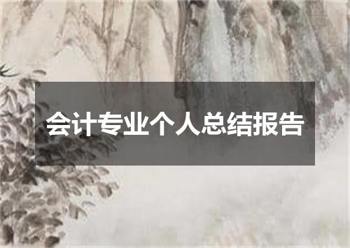 会计专业个人总结报告