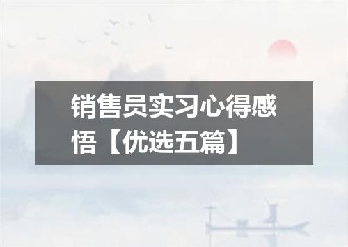 销售员实习心得感悟【优选五篇】