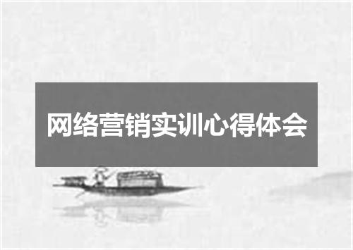 网络营销实训心得体会