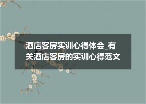 酒店客房实训心得体会_有关酒店客房的实训心得范文