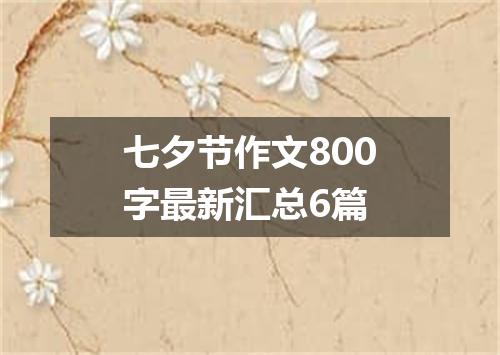 七夕节作文800字最新汇总6篇