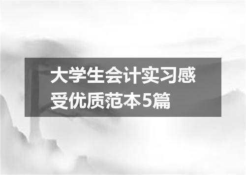 大学生会计实习感受优质范本5篇