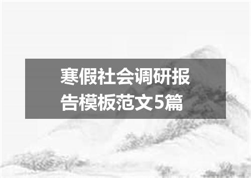 寒假社会调研报告模板范文5篇