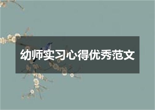 幼师实习心得优秀范文