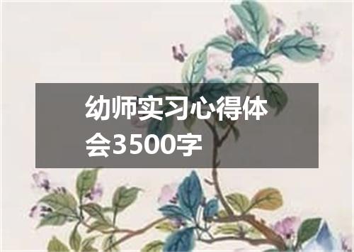 幼师实习心得体会3500字