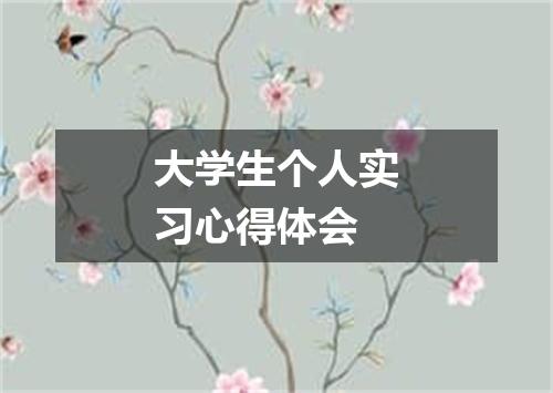 大学生个人实习心得体会