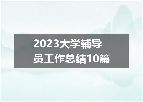 2023大学辅导员工作总结10篇