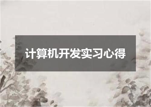 计算机开发实习心得