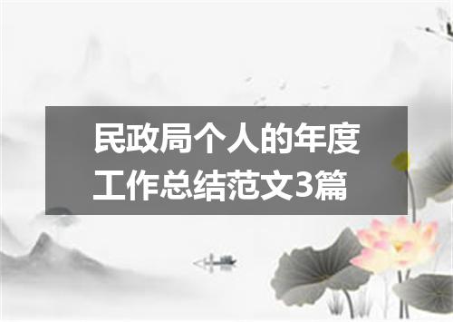 民政局个人的年度工作总结范文3篇