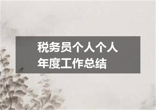 税务员个人个人年度工作总结