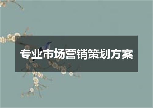 专业市场营销策划方案