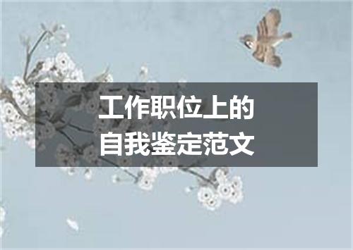 工作职位上的自我鉴定范文