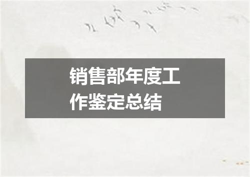 销售部年度工作鉴定总结
