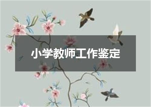 小学教师工作鉴定