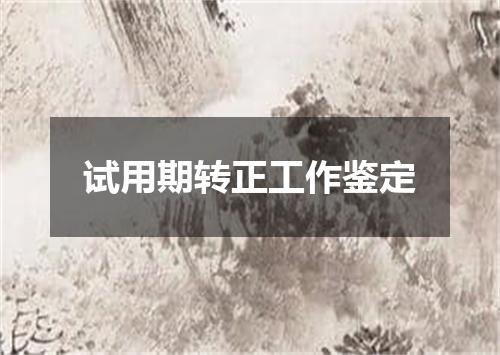 试用期转正工作鉴定