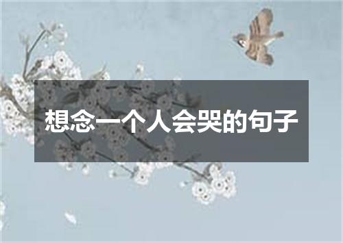 想念一个人会哭的句子