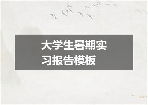 大学生暑期实习报告模板