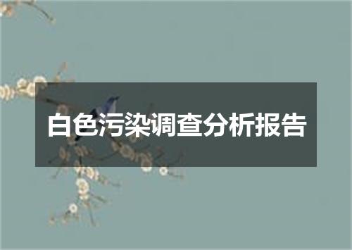 白色污染调查分析报告
