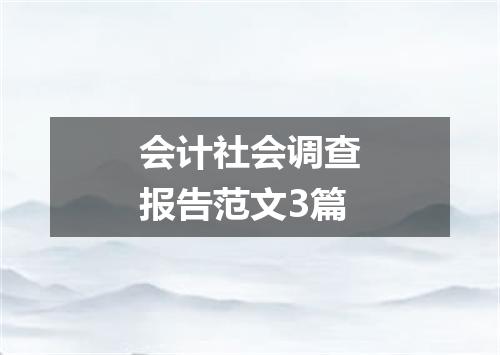 会计社会调查报告范文3篇