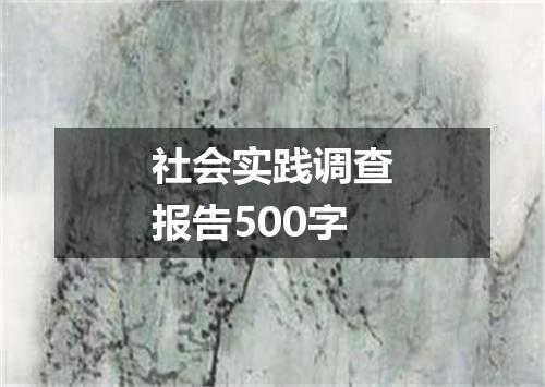 社会实践调查报告500字