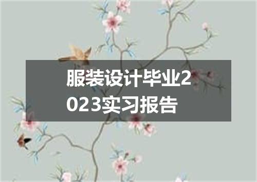 服装设计毕业2023实习报告