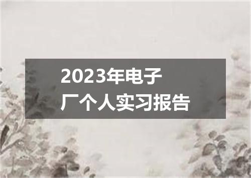 2023年电子厂个人实习报告