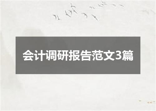 会计调研报告范文3篇