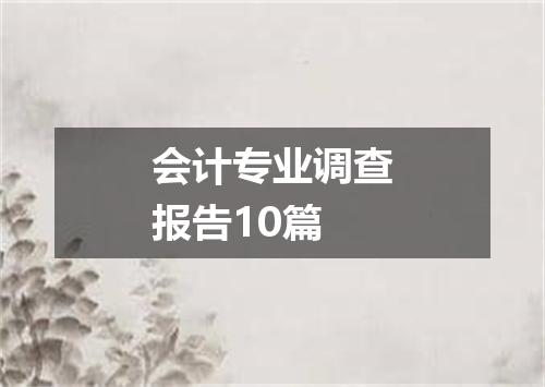 会计专业调查报告10篇