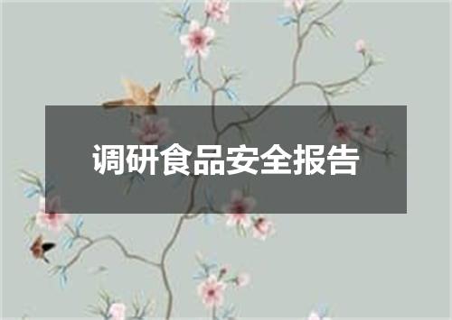 调研食品安全报告