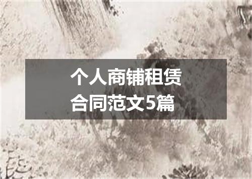 个人商铺租赁合同范文5篇