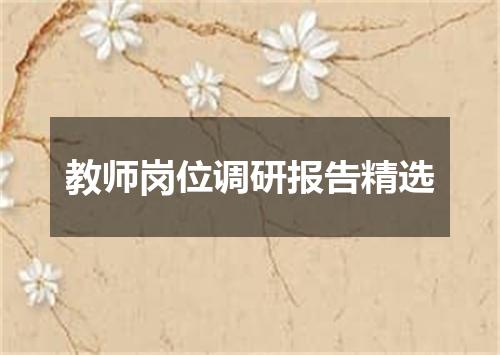 教师岗位调研报告精选