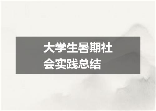 大学生暑期社会实践总结