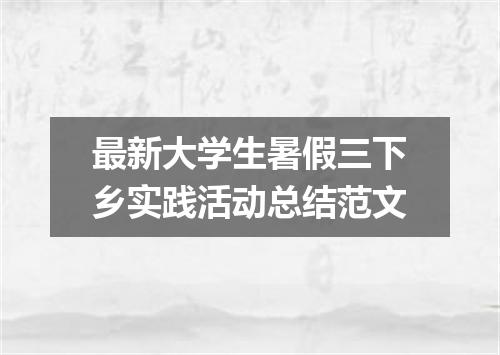 最新大学生暑假三下乡实践活动总结范文