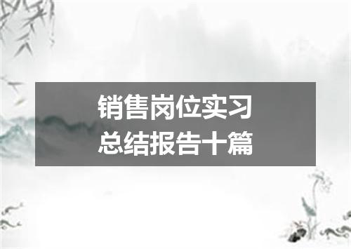 销售岗位实习总结报告十篇