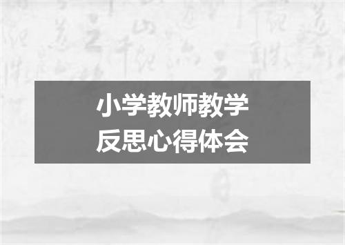 小学教师教学反思心得体会