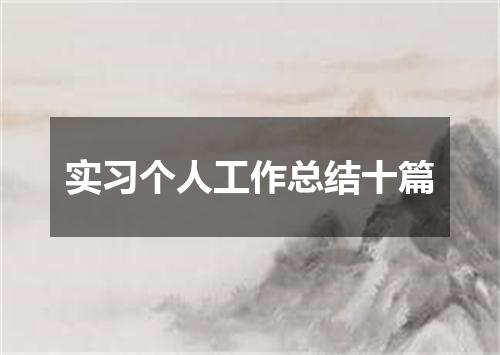 实习个人工作总结十篇