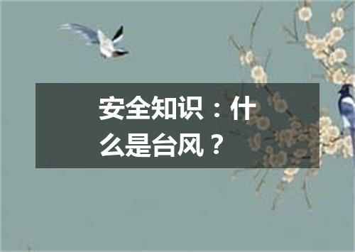 安全知识：什么是台风？