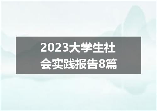 2023大学生社会实践报告8篇