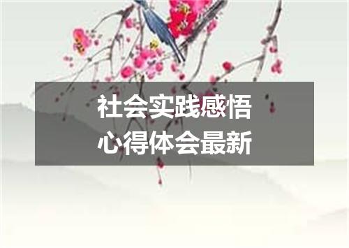 社会实践感悟心得体会最新