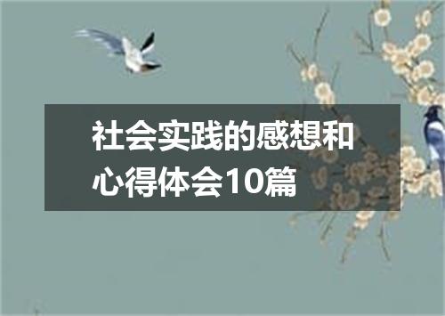社会实践的感想和心得体会10篇