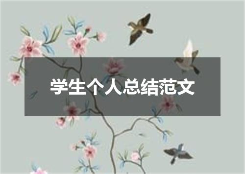 学生个人总结范文