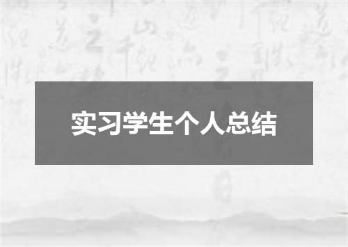 实习学生个人总结