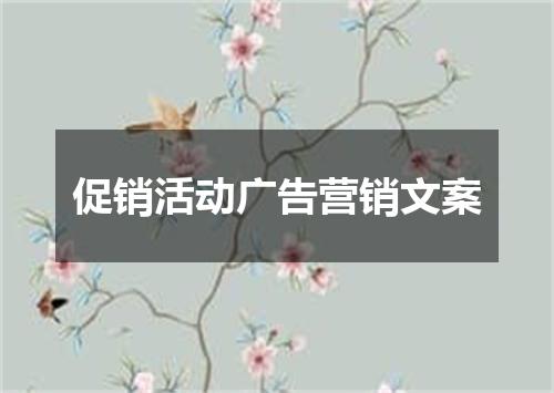 促销活动广告营销文案