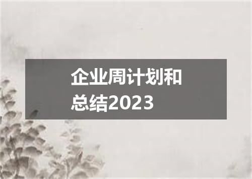 企业周计划和总结2023