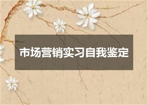 市场营销实习自我鉴定