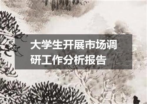 大学生开展市场调研工作分析报告
