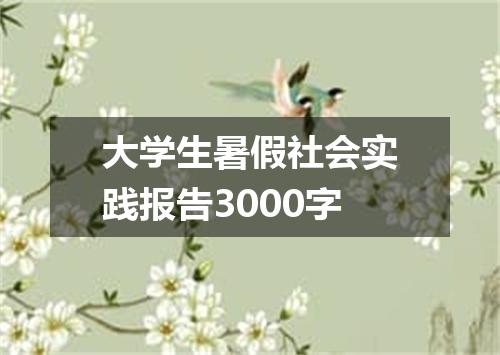 大学生暑假社会实践报告3000字