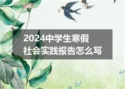2024中学生寒假社会实践报告怎么写