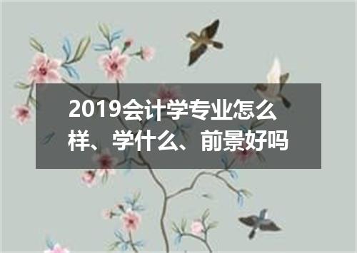 2019会计学专业怎么样、学什么、前景好吗