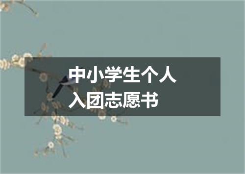 中小学生个人入团志愿书